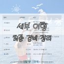 2020-940 | [에필로그] 🇵🇭 필리핀 세부 여행 결산 - 비용 총 정리 | 경비, 일정, 숙소, 투어