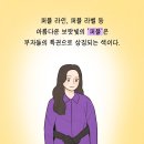 귀티 나는 사람들이 가장 좋아하는 색은? 이미지