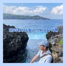 내맘대로 세계여행 이미지