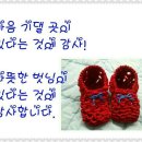 야행성 이미지