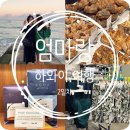 호텔보보(HOTEL VOVO) | 엄마랑 하와이 2일차, 와이키키 비치 새벽 산책/target 수영복 구매/Kona Coffee Purveyors 원두 구매