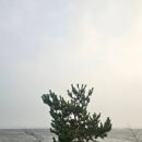 영종씨사이드 레일바이크 앞 | 영종씨사이드 레일바이크 후기