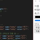 폼(FORM) 이미지