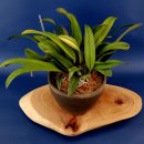 황호농장 이미지