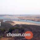 동해(東海) 이미지