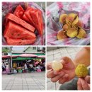 타이베이 2일차 여행 코스, 국가철도박물관과 화시제 야시장 후기
