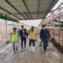 부여축산업협동조합 이미지