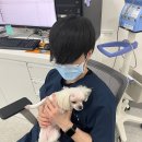 수선농장 | 11월 냥이 소식지가 발행되었습니다(구독 취소 금지)📬