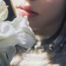 트리플 - 성남시 분당구 | 트리플