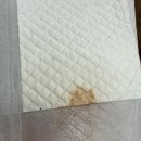24시 동탄윌 동물의료센터 이미지