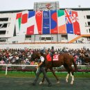 국제팜코리아 이미지