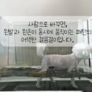 전주애견유치원 고마워복실아 이미지