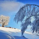 상경목장 이미지