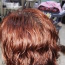 향기나라 이미지