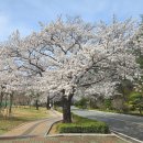 대구농업마이스터고등학교 이미지