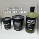 루츠 | 러쉬 지성두피 헤어제품 비교 후기 | 루츠, 리햅 솔티, 와사비 샨 쿠이 내돈내산 리뷰