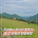 화순 가볼만한 곳 [무등산 양떼목장] 이용 꿀팁+아이랑 감성사진 찍기 좋은 곳