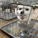 282번길 이미지