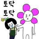 바보다육