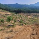 조종농장 이미지