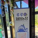 나주로컬푸드 소비자서포터즈 활동으로 &lt;루루블루베리체험농장&gt;에 다녀왔어요