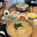 서울쥐 돌비의 부산여행