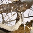 영원을위하여 이미지