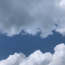 [하루일기 219]