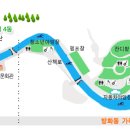 숲속의 계곡 이미지