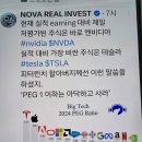 대장주 NVDA 의 미래 주가 소고. 이미지