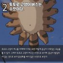 토토로헤어 브런치