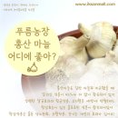 푸름농장 이미지