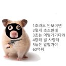 연음향 | 여름 코코아 겨울 수박