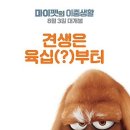 마이펫 이미지
