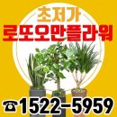 로또플라워 이미지