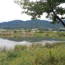 달뜨는 마을 보금자리 이미지