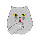 일루아 카페 이미지