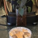 빵데까사 PAN DE CASA