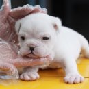 구월2동-16 이미지