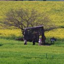 계화농장 | 고창 학원농장