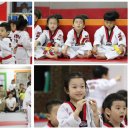 브레인박사태권도 이미지