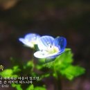 수채화 케이크 이미지