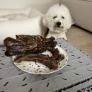 얌얌이푸드 이미지