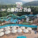 스플라스리솜 이미지