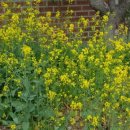 한올공인중개사사무소 이미지