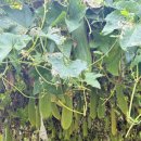 승혁 농장 이미지