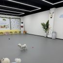 멍뭉호텔 | 복대동 애견호텔 유치원 멍뭉빌리지 내돈내산 후기