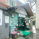 황금콩순두부 | 강릉 동화가든 짬뽕 순두부 테이블링 웨이팅 두 번 연속 방문 후기