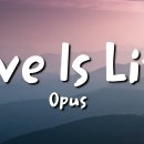 opus~live is life 이미지