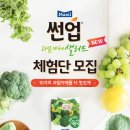 과일.야채 이미지